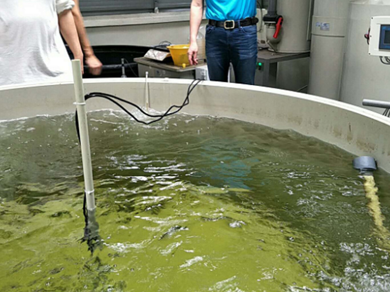 Instalação de sensor de piscicultura