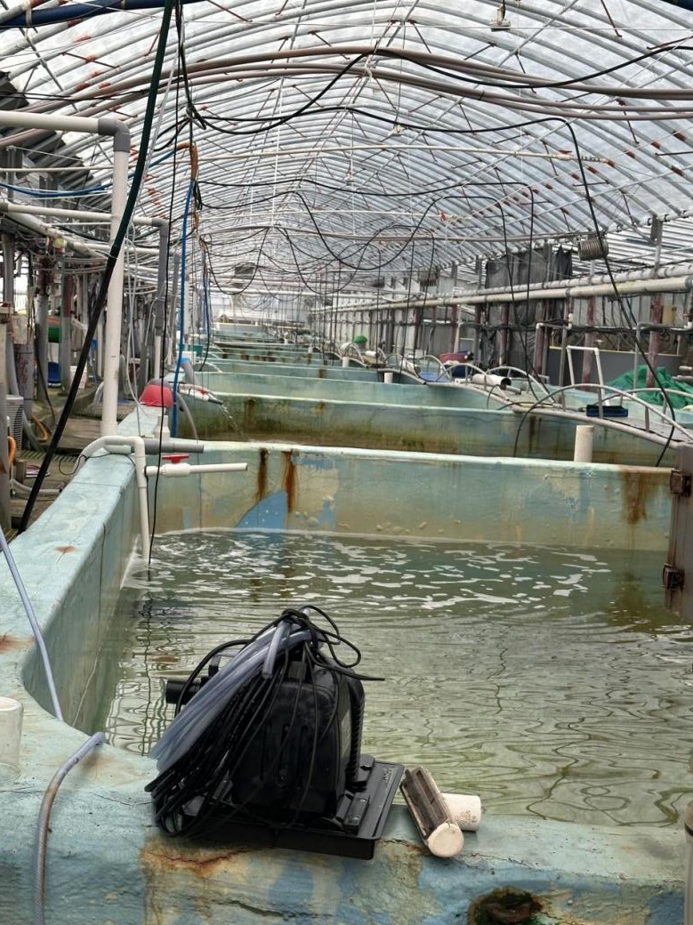 სურათი 4