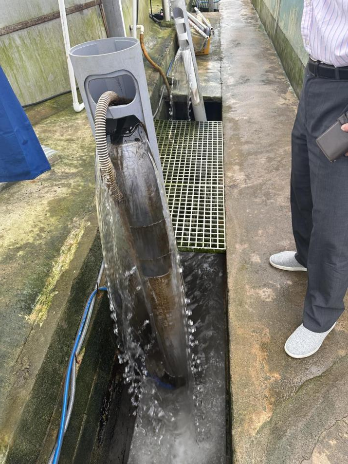 სურათი 7