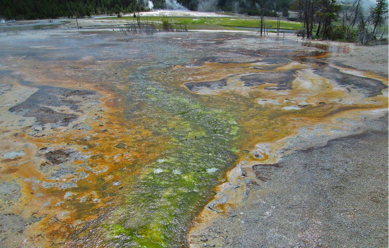 Organic pigment wastewater
