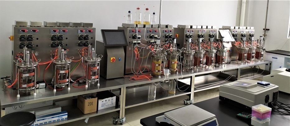 Application Cases of Pharmaceutical and Biological Fermentation in Fuzhou