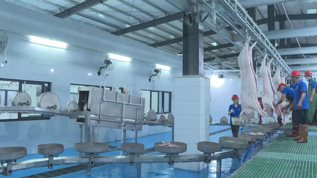 Raw Meat Slaughtering and Processing Enterprises