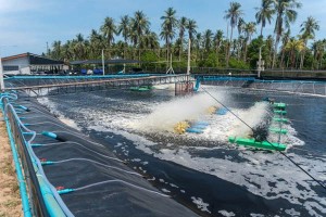 https://www.boquinstruments.com/shrimp-and-fish-farming/