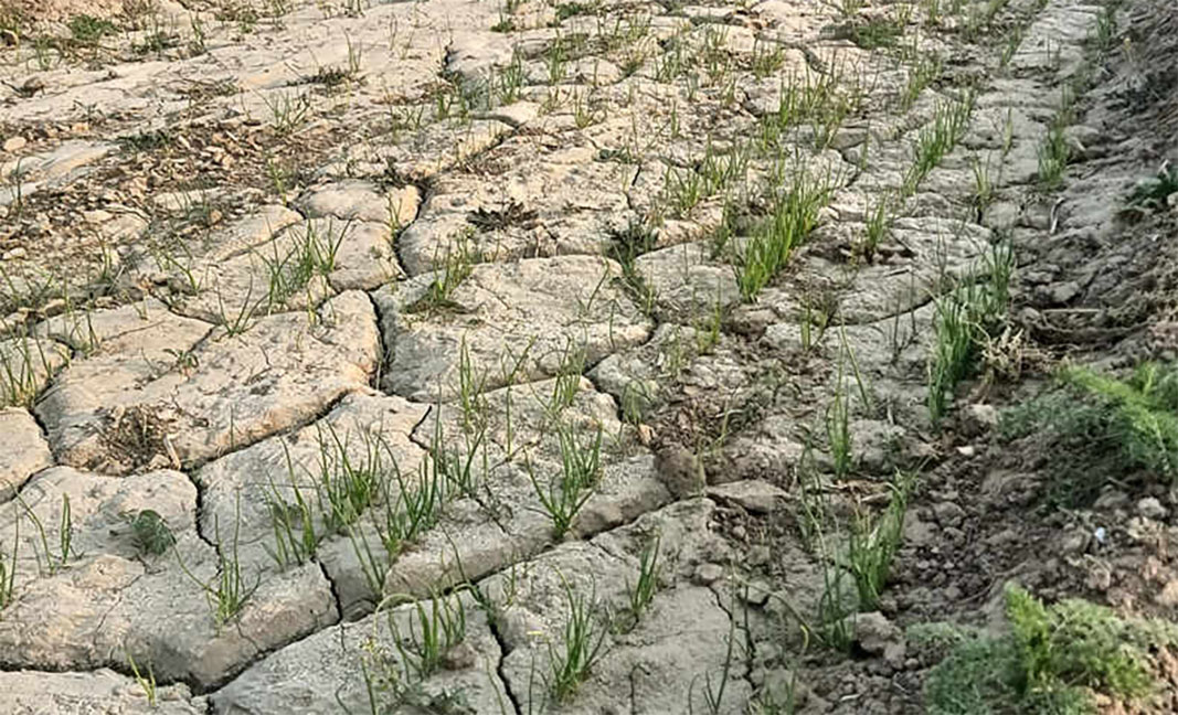 Soil compaction